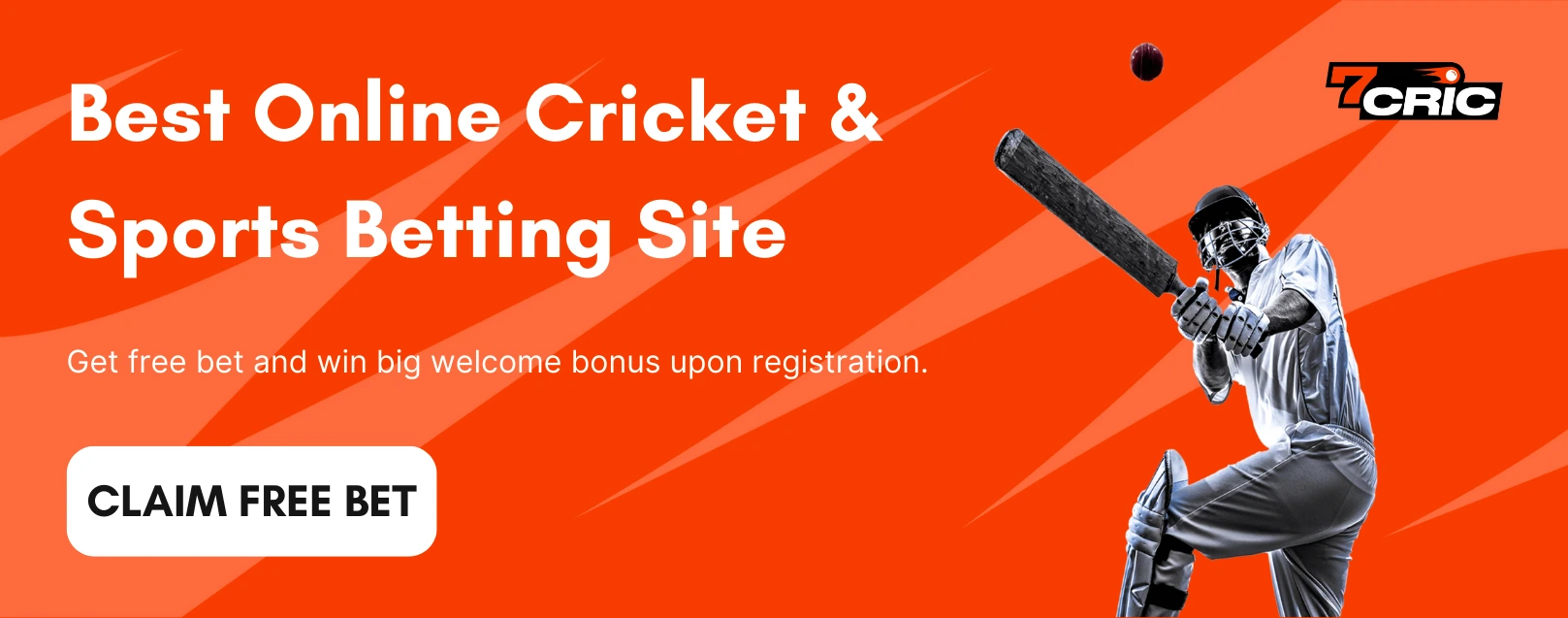 India bet cricket / cricket betting sites